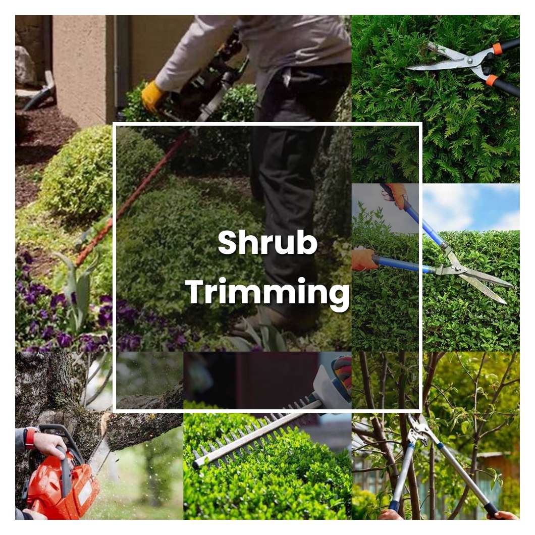 How to Grow Shrub Trimming - Plant Care & Tips