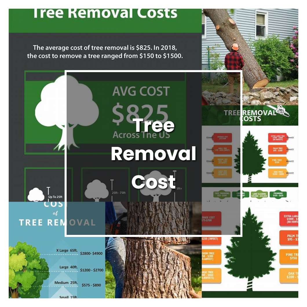 How to Grow Tree Removal Cost - Plant Care & Tips