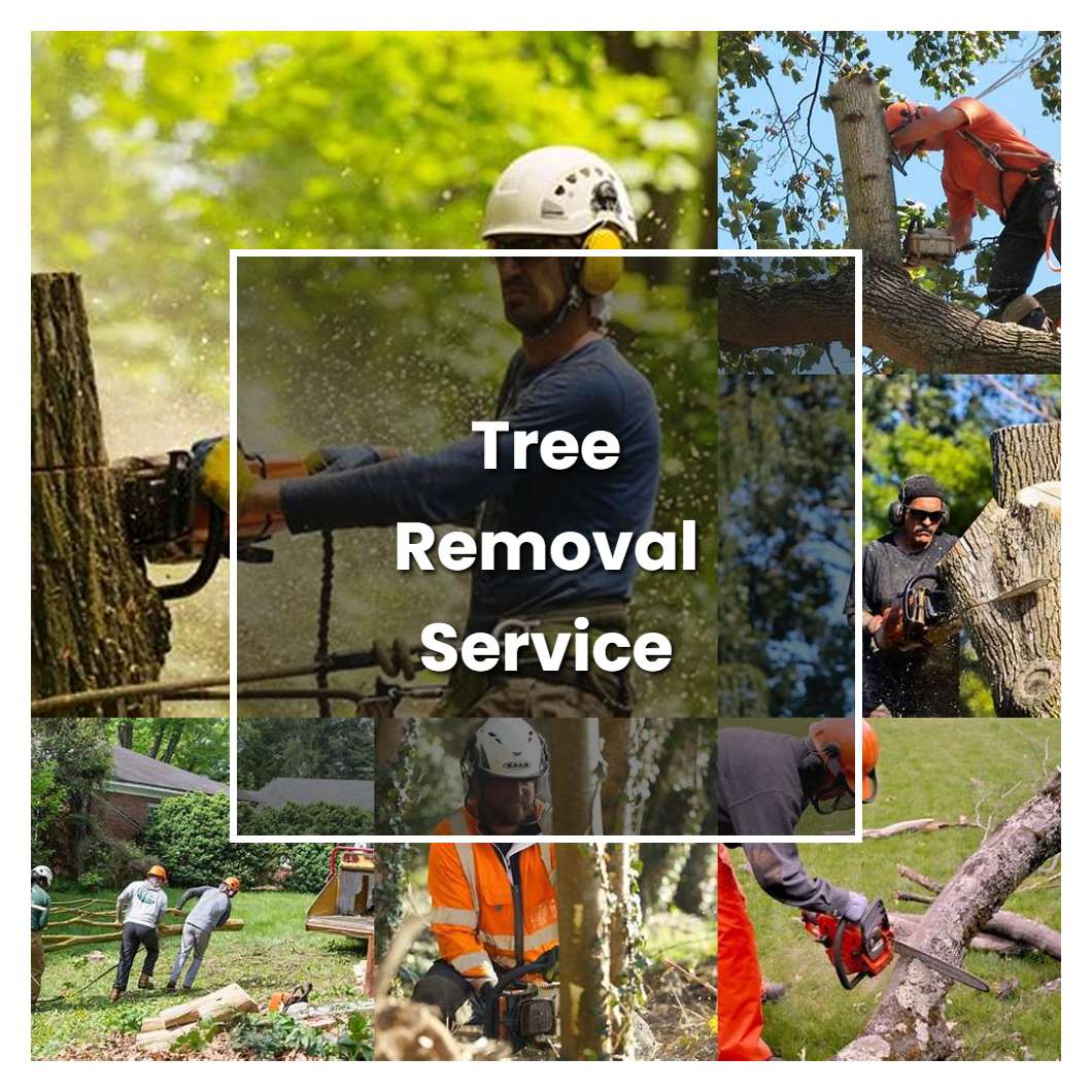 How to Grow Tree Removal Service - Plant Care & Tips