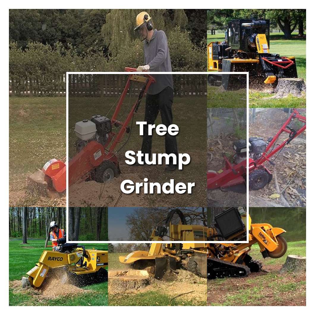 How to Grow Tree Stump Grinder - Plant Care & Tips