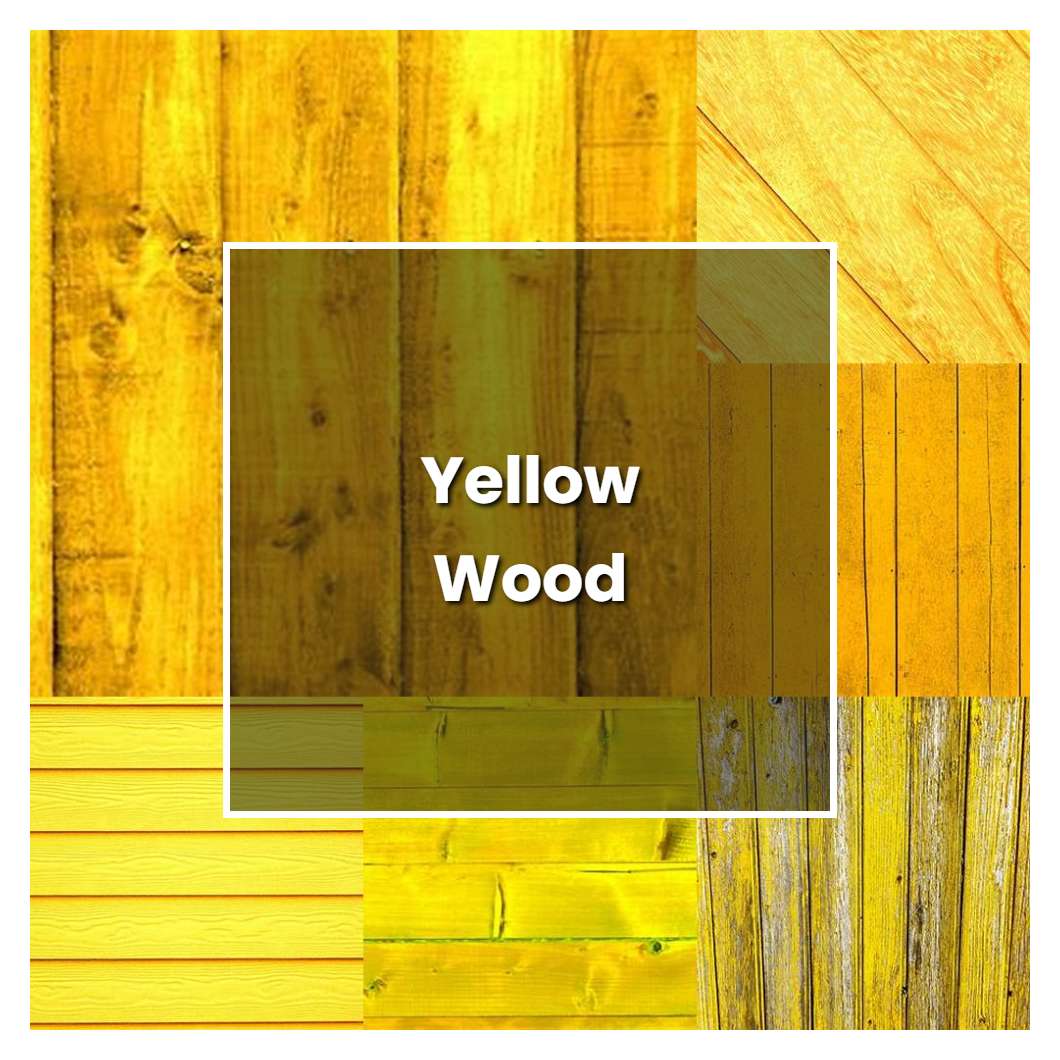 How to Grow Yellow Wood - Plant Care & Tips